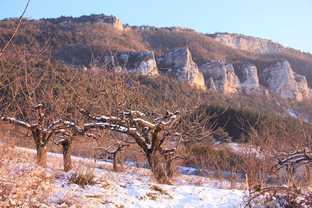 Gite La Cerise Qui Rit La Cresse 객실 사진